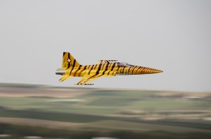 F-5_1000.jpg