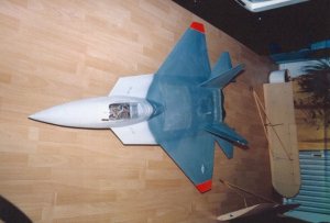 YF-22 damit begann alles.jpg