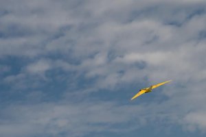 Yellow im Flug - Wolken Himmel Foto Dirk gut .JPG