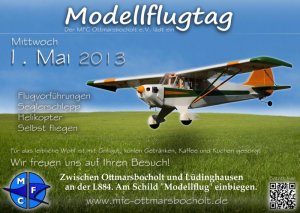 Flugtag-2013-klein.jpg