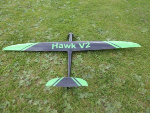 Hawk V2 003.JPG